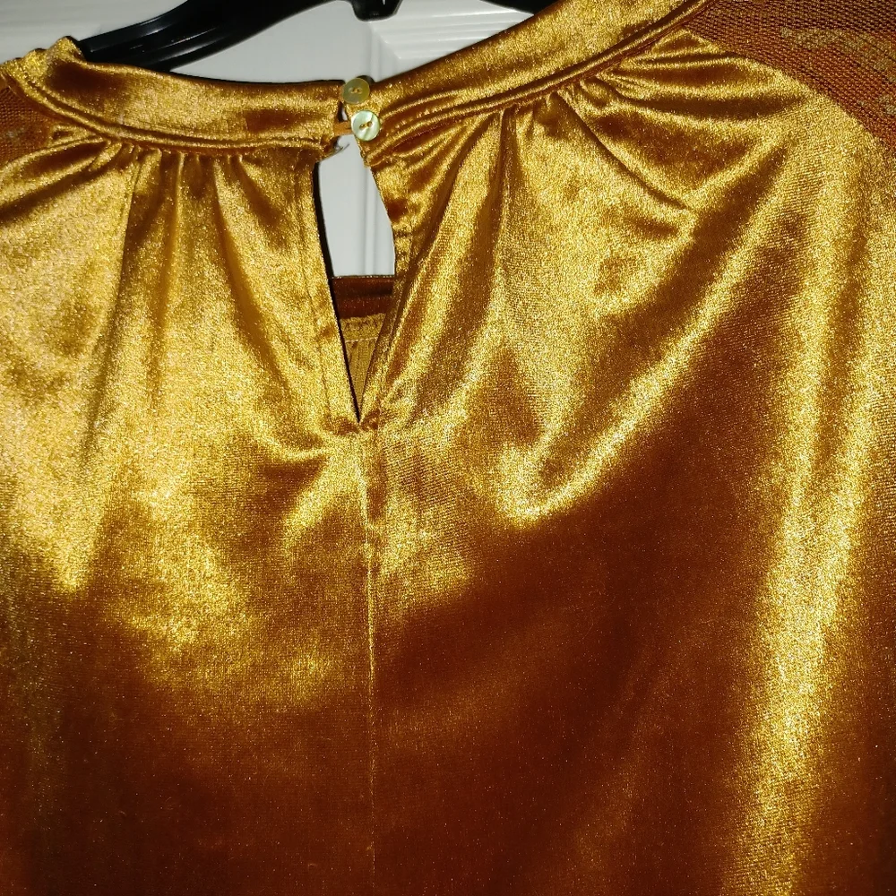 Velvet long sleeved lace sleeves.  The color is brick. - Picture 5 of 9